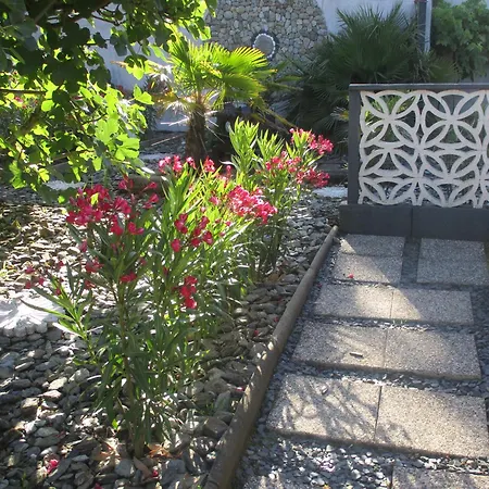 Fleur De Sel Maisonnette 100 M Chemin Cotier